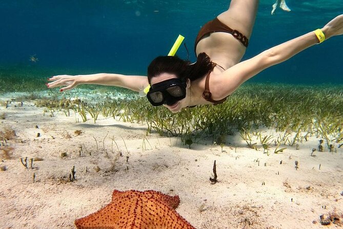 Catamaran Sky Tour in Cozumel - Stop 3, Playa El Cielo: starfish sanctuary at about 2 meters