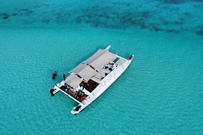 Catamaran Snorkeling to El Cielo and The Money Bar Beach Club - Key highlights to know before you go