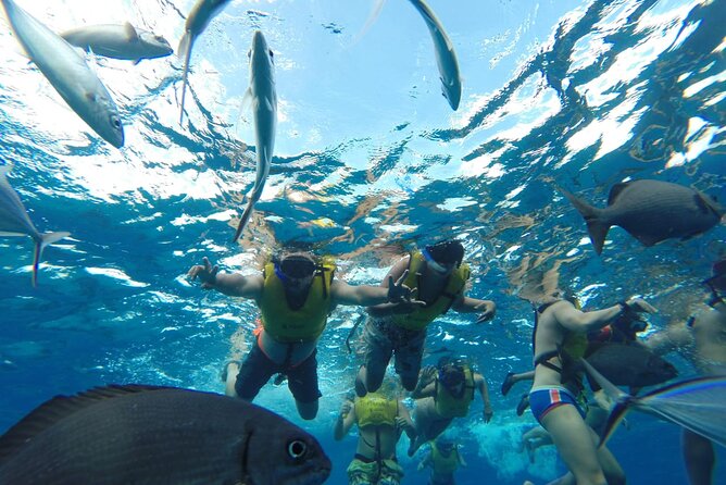 Catamaran Snorkeling to El Cielo and The Money Bar Beach Club - Stop 1 at The Money Bar: lounge, kayaks, and snacks before you swim