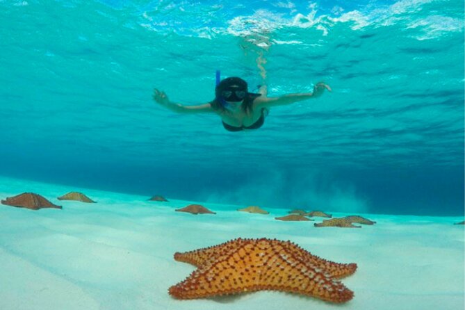 Catamaran Snorkeling to El Cielo and The Money Bar Beach Club - Stop 3: Playa El Cielo and the starfish shallows