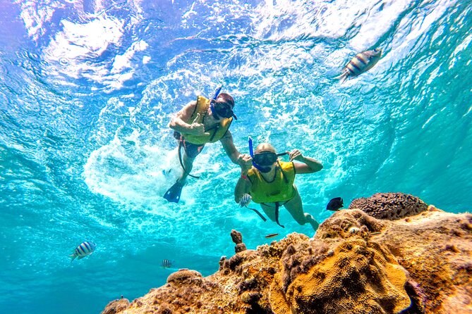 Catamaran Snorkeling to El Cielo and The Money Bar Beach Club - Drinks, snacks, and the small-group advantage