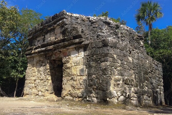 Cenote and Ancient Mayan Ruins Tour with Tequila in Cozumel - Stop 2: Cenote Aerolito de Paraiso, what to expect in the water