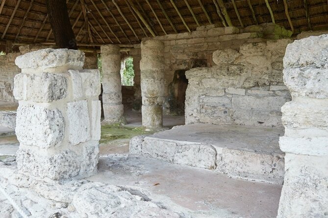 Cenote and Ancient Mayan Ruins Tour with Tequila in Cozumel - Who this tour fits best, and who should pass
