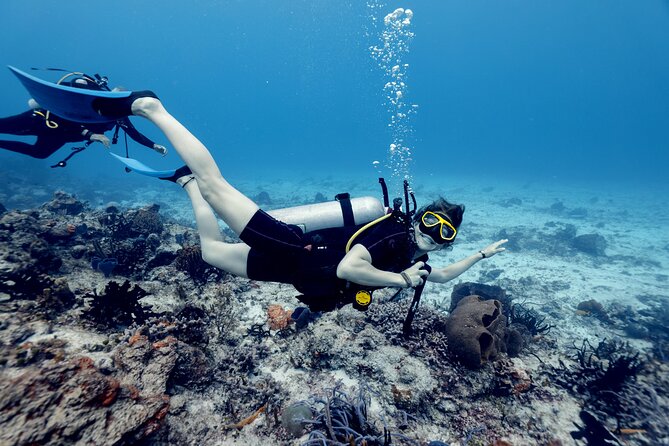 Certified Diving 2 Tanks in Cozumel - Key Things You’ll Notice Right Away