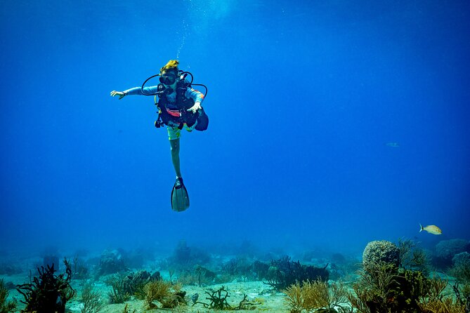 Certified Diving 2 Tanks in Cozumel - The Coast Ride to Paraiso Reef, Why the Morning Starts So Smoothly