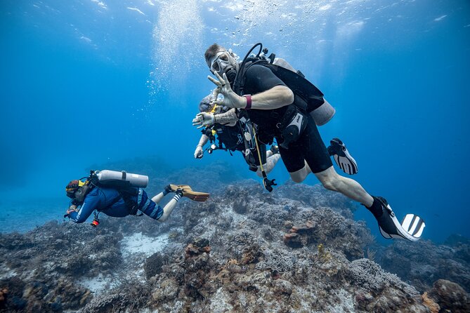 Certified Diving 2 Tanks in Cozumel - Reef Tax and Food Planning: The Two Things You Must Budget