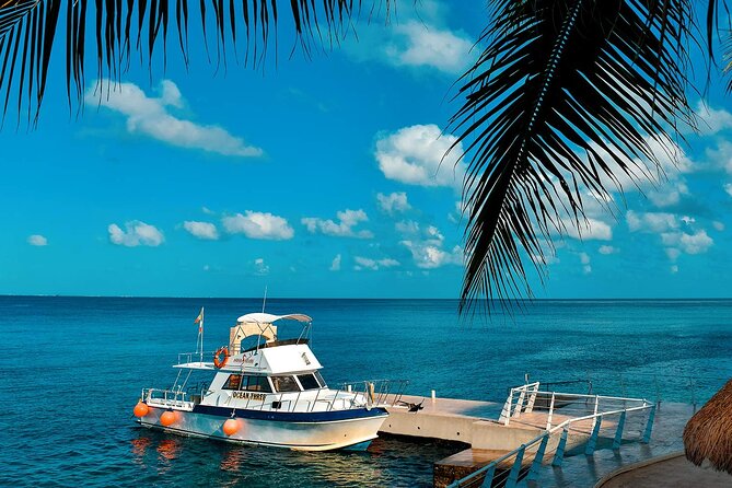 Certified Diving 2 Tanks in Cozumel - Who Should Book This Two-Tank Cozumel Plan (and Who Should Skip)