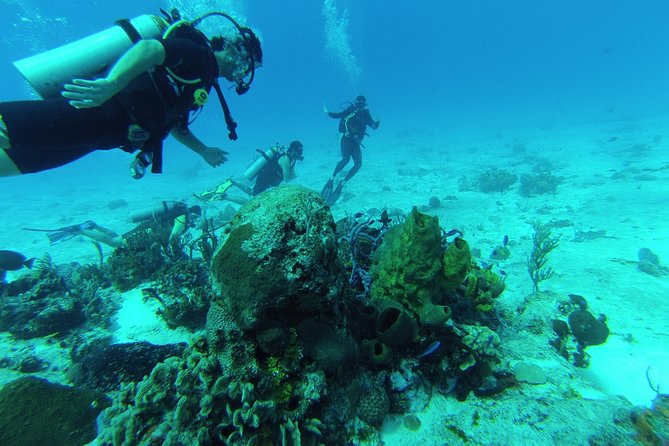 Chankanaab Cozumel Scuba Diving - Key things that make this Chankanaab scuba experience worth your time
