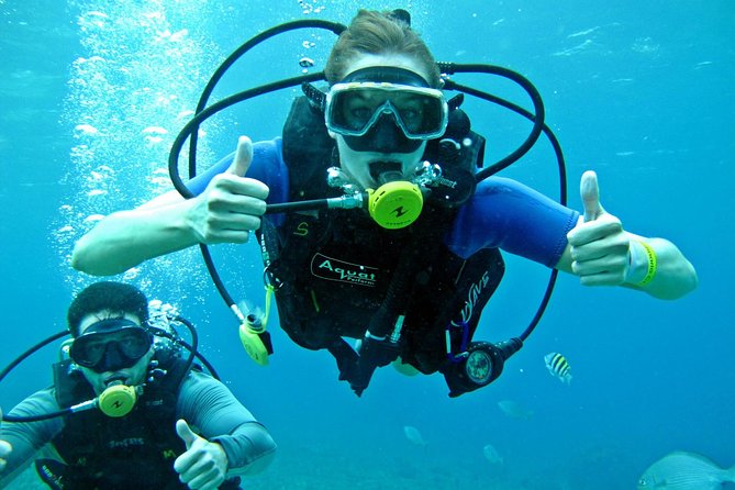 Chankanaab Cozumel Scuba Diving - Chankanaab Reef: Why This Cozumel Reef Park Works for First Timers