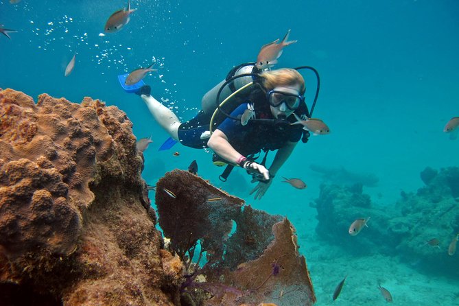 Chankanaab Cozumel Scuba Diving - How the Park Time Changes the Value: Beach Access, Palapas, and Tequila