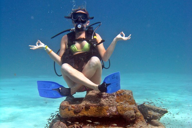 Chankanaab Cozumel Scuba Diving - Price and What Adds Up: What’s Included vs the $11 Marine Park Fee