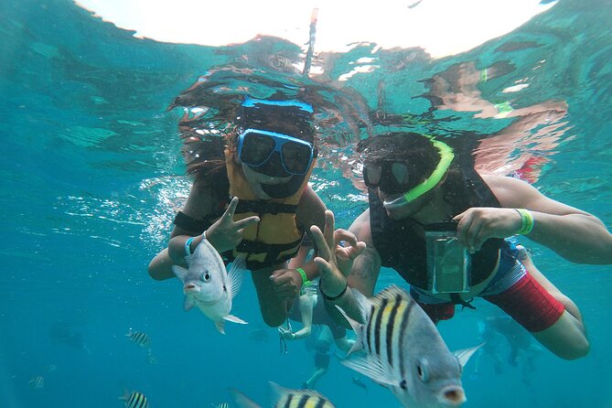 Chankanaab Park Admission + Snorkeling - A 3-hour beach-and-reef plan that works with cruise time