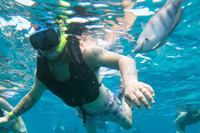 Chankanaab Park Admission + Snorkeling - Price and value: what $39 gets you and what to budget extra
