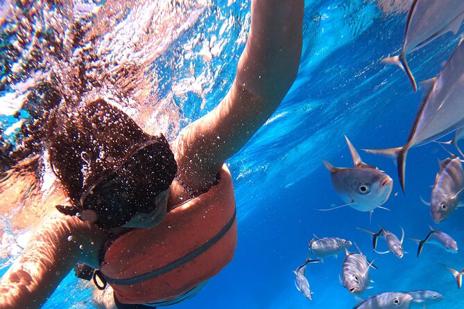Chankanaab Park Admission +Snorkeling + Lunch included - Chankanaab Reef, the part you came for