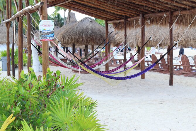 Chankanaab Park Admission +Snorkeling + Lunch included - The two problems to plan around, timing mix-ups and rougher water