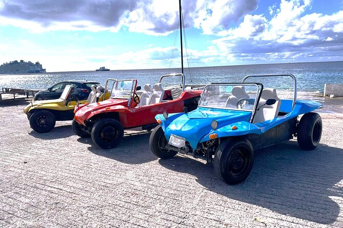 Chankanaab Park and Island Tour by Buggy with Mexican Lunch - Check in at Royal Village and get your directions