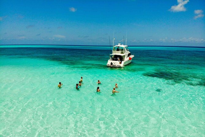 Cielito Cozumel: Mexican Caribbean Snorkeling Tour - Palancar Reef: coral fans, giant sponges, and cave surprises