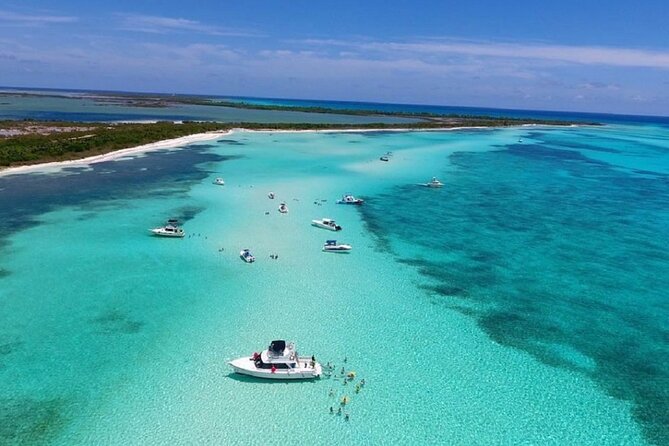 Cielito Cozumel: Mexican Caribbean Snorkeling Tour - Playa El Cielo starfish snorkeling for first-timers