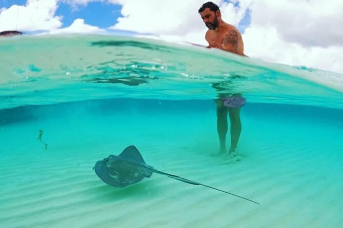 Cielito Cozumel: Mexican Caribbean Snorkeling Tour - Where the snorkeling quality shines most
