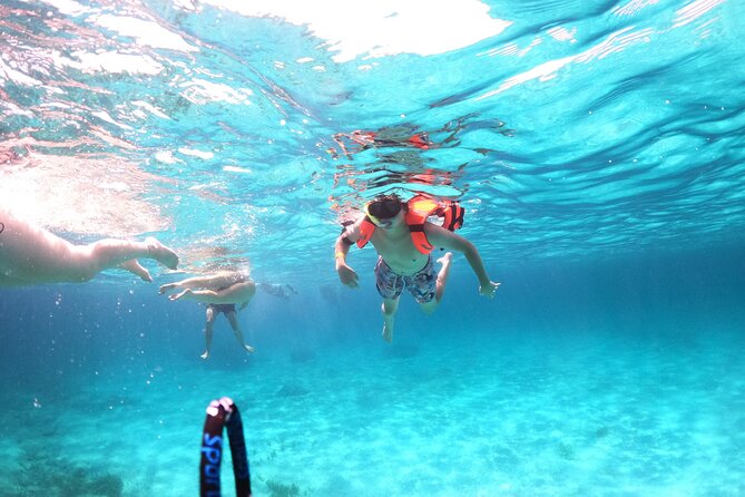 Clear Boat Adventure to Shipwrecks and Snorkel - Who should book this clear-boat snorkel, and who might skip