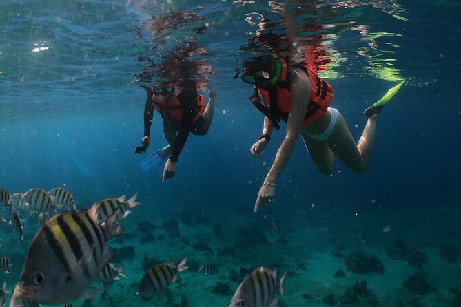 Clear Boat & Snorkel Cozumel Tour with Drinks - Clear-boat + snorkeling in Cozumel, in 1.5 hours