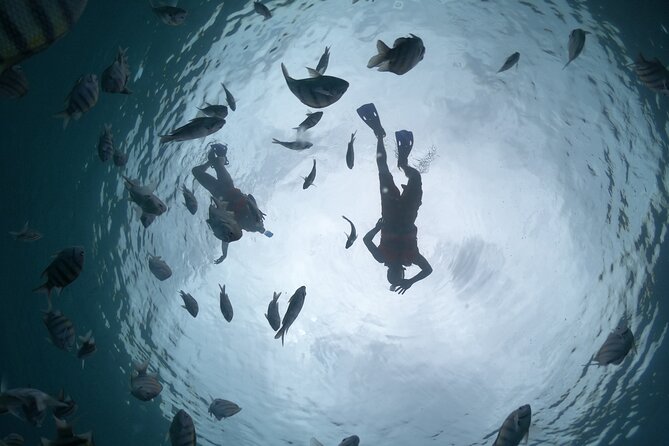 Clear Boat & Snorkel Cozumel Tour with Drinks - Snorkeling time and equipment that keeps things easy