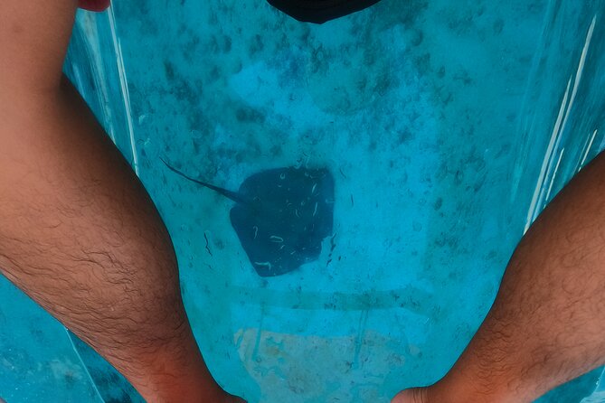 Clear Kayaking, Sea Scooters Adventure - Yamaha Sea Scooters for Power Snorkeling Without the Struggle