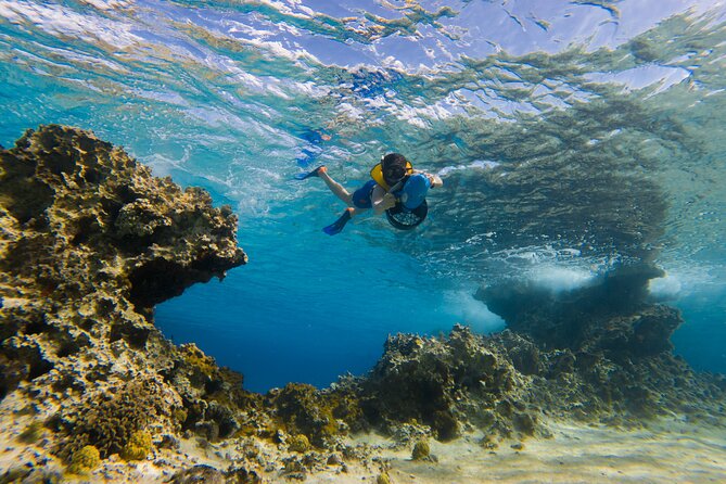 Clear Kayaking, Sea Scooters Adventure - Guides, Safety Feel, and the Small-Group Advantage