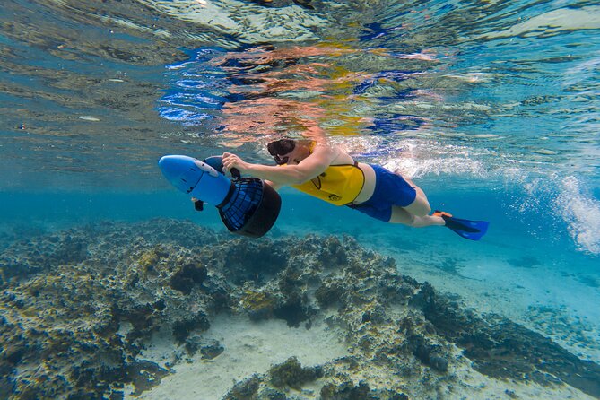 Clear Kayaking, Sea Scooters Adventure - Price and Value for $79 Per Person