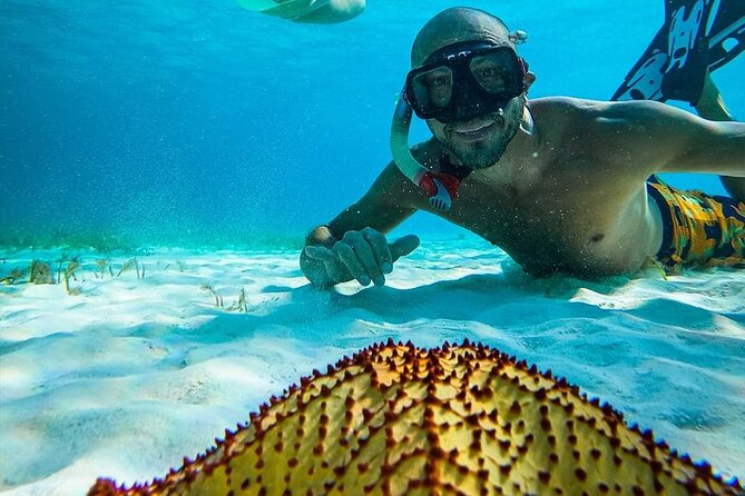 Colombia, Palancar & Cielo Cozumel Snorkel Tour - Snorkeling equipment, fins, and how picky you should be