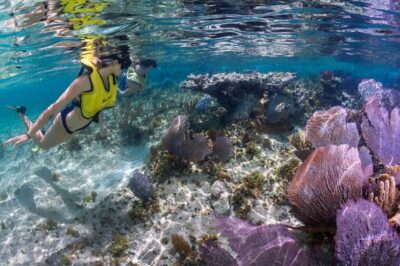 Cozumel 3 Reefs Snorkel