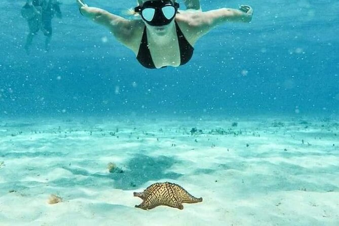 Cozumel 4 Hour Boat Sky Tour - Key things to know before you go
