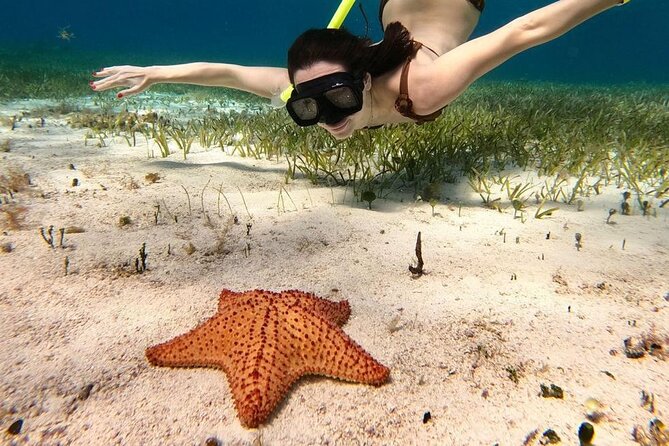 Cozumel 4 Hour Boat Sky Tour - Stop 1: Laguna Colombia for shallow coral and reef watching