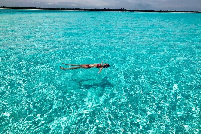 Cozumel 4 Hour Boat Sky Tour - Stop 3: Playa El Cielo, the starfish and a shallower snorkel
