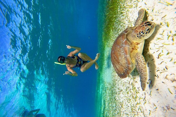 Cozumel 4 Hour Boat Sky Tour - Boat comfort, gear reality, and the photo upsell you should plan for