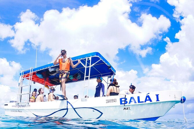 Cozumel 4-Hour Private Trip to Heaven - Reef snorkeling that actually fits your group (equipment and guidance)