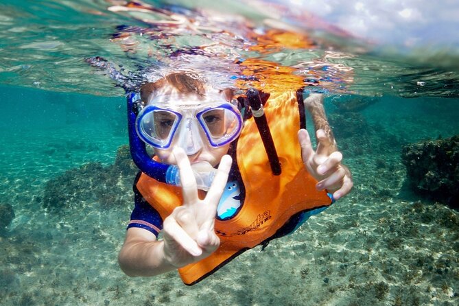 Cozumel 4-Hour Private Trip to Heaven - Cozumel Sky: the starfish swim and why the timing matters