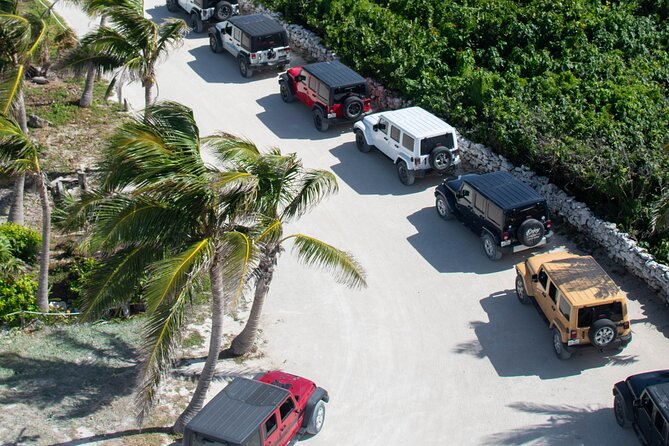 Cozumel 4x4 Adventure Punta Sur and Virgin Beach All Inclusive - What’s Included, and How It Changes Your Day
