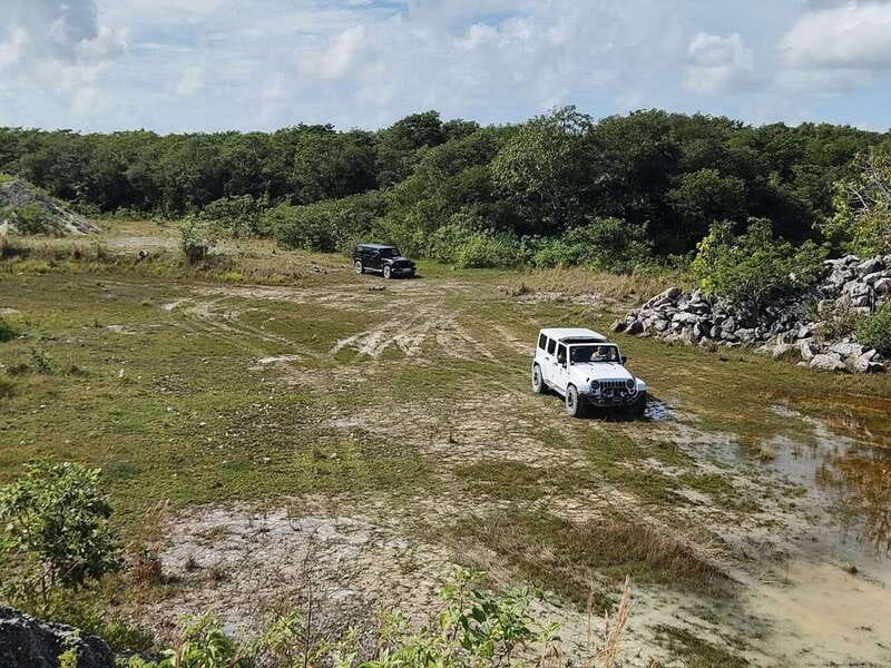 Cozumel: 5-Hour Private Caves and Ruins Tour with Lunch - Chen Rio Beach and Lagoon: Soft Sand, Caribbean Water, and Crocodile Odds