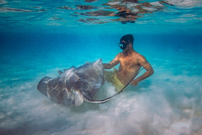 Cozumel All Inclusive: Coast & Relax 4h on 51' Leopard - Meeting at Marina Cozumel ASIPONACAR, and what the timing means