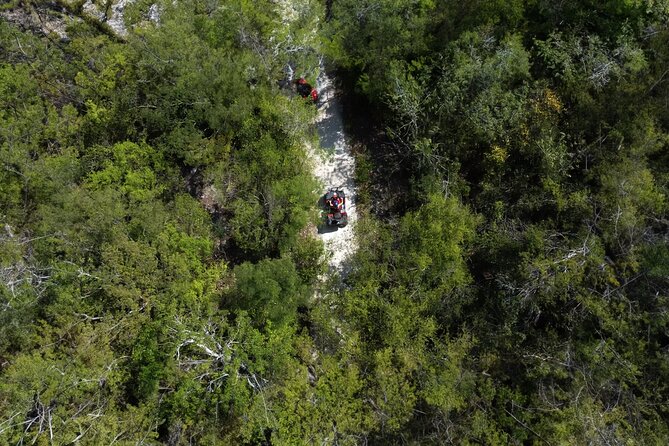 Cozumel ATV Jungle Small Group Guided Ride - Key highlights for this ATV ride