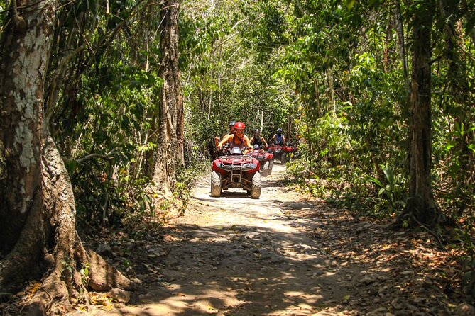 Cozumel ATV Tour & Beach Break - Value check: what $185.52 buys you on this 5-hour day