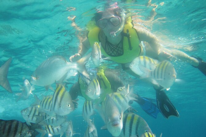 Cozumel Beach + Snorkeling Time - Money Bar Beach snorkeling over Dzul-Ha Reef