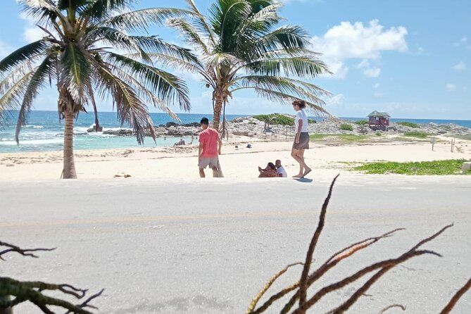Cozumel Best Spots (Beach-Mayan Park-Downtown) - Otoch Mayan Experience: ceremonies, tequila, chocolate, honey, and tortillas
