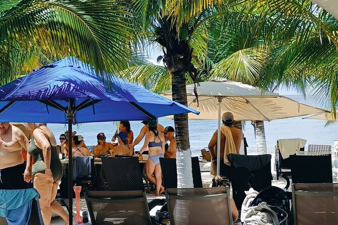 Cozumel Best Spots (Beach-Mayan Park-Downtown) - Price and logistics: why this tour feels like good value