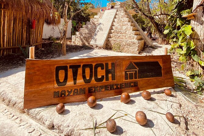 Cozumel Best Spots (Beach-Mayan Park-Downtown) - Should you book? My practical take
