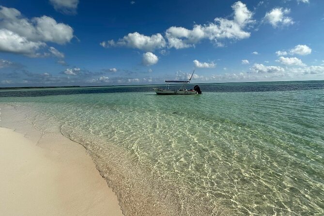Cozumel Buggy Island Adventure Punta Sur Park &Scenic Island Tour - Stop 1: Punta Sur Eco Beach Park, lighthouse views and the crocodile lagoon
