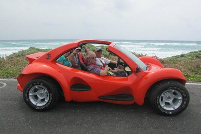 Cozumel Buggy Island Tour, Otoch Mayan Experience & Clear Boat - Price and value: why $94 can work better than separate bookings