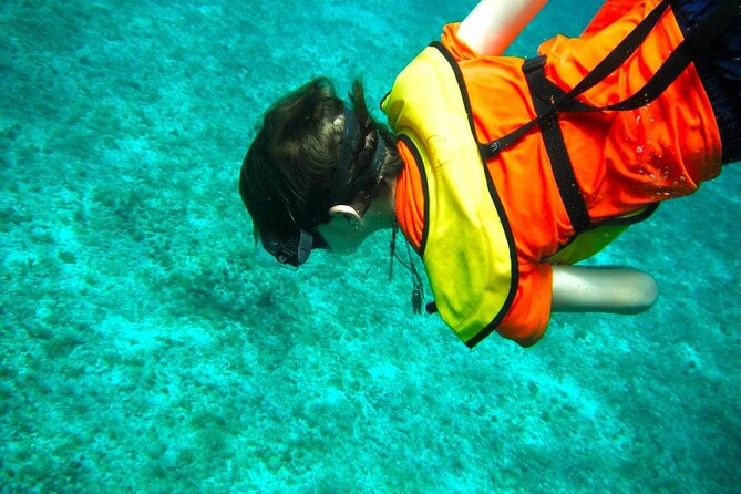 Cozumel Buggy Tour: Snorkeling , Otoch Mayan Experience & Lunch - Value for $69: What’s Covered, What Costs Extra, and How to Get the Best Day