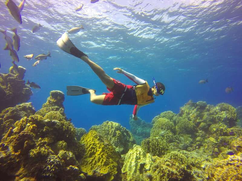 Cozumel: Catamaran, El Cielo Bay & Palancar Reef with Lunch - Key points to know before you go